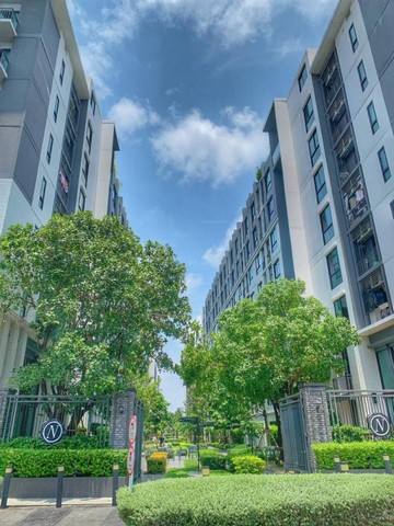 ## ขายคอนโดลุมพินี วิลล์ ลาซาล-แบริ่ง 1.3 ล้าน เช่าก็ดี ขายต่อก็ได้ ห้องวิวสระ ชั้น 9 อาคาร Dคอนโดราคาดี ทำเลลาซาล-แบริ่ง เหมาะทั้ง **ซื้ออยู่เอง / ซื้อปล่อยเช่า / ซื้อเก็บเป็นทรัพย์สิน / ขายต่อในอนาคต** ในงบจับต้องได้ เพียง **1.3 ล้านบาท****รายละเอียดทรัพย์**โครงการ: ลุมพินี วิลล์ ลาซาล-แบริ่งอาคาร: Dชั้น: 9ขนาด: 26.17 ตร.ม.รูปแบบ: 1 ห้องนอน 1 ห้องน้ำทิศระเบียง: ทิศตะวันออกจุดเด่น: ห้อ�