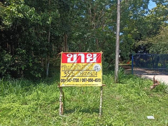 ขายที่ดิน 33 ไร่ สวนยาง บางสะพาน ประจวบคิรีขันธ์อ.บางสะพาน  จ.ประจวบคีรีขันธ์เนื้อที่ 33 ไร่ผังเมือง สีเขียวอ่อนสถานที่ใกล้เคียง- โรงเรียนบ้านหนองจันทร์- ใกล้หาดบ้านกรูด- the most cafe- บริษัทคอมพีทโซลูชั่น- วัดหนองจันทร์เทพนิมิตร- รพ.สต.บ้านหนองมงคล- มีเส้นถนนทะลุถนนเพชรเกษมได้https://maps.app.goo.gl/ZCVdzXf8QdGjeCqZ9ราคา 14,850,000 บาทติดต่อ 095-938 8800  คุณโย091-747 7730  คุณรัน097-056 4510  คุณเกรท