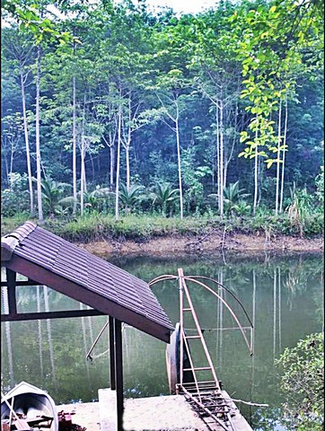 มีรายได้ทันที ที่วิวเขา ไม้กฤษณา สวนยางพารา กำลังให้ผลผลิต44ไร่กว่า พร้อมบ้านพัก อ.มะขาม  จันทบุรี o86-3ol-6l6lพิกัด ต.อ่างคีรี อ.มะขาม จ. จันทบุรี 44ไร่กว่ามีรายได้ทันที คุ้มค่าน่าลงทุนมาก สวนยางฯไม้กฤษณาและไม้ยืนต้น พร้อมให้ผลผลิตทันที ผลตอบแทนสูง มีบ้านพักขนาด 3ห้องนอน สามาถทำรีสอร์ท ที่พัก บนเนินเขาเห็นวิวเขาโอบล้อม ไปพร้อมๆกันได้ด้วยค่ะ เนื้อที่รวม 44ไร่กว่า �