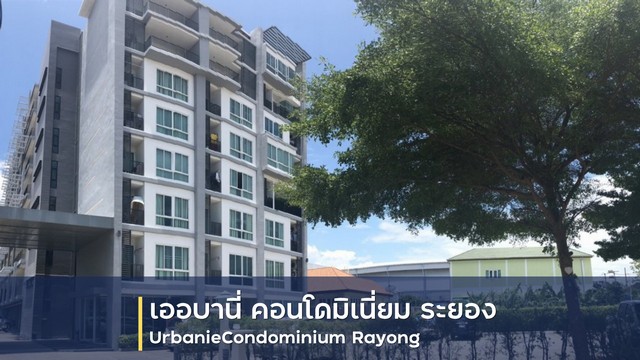    ขายคอนโด โครงการ เออร์บานี คอนโดมีเนียม  เมืองระยอง ห่างจาก เซ็นทรัลพลาซา ระยอง 1.7 กม.   ตำบลเชิงเนิน อำเภอเมืองระยอง ระยอง  ราคา 3,200,000   บาท  (ราคาต่อรองได้)  รายละเอียดทรัพย์ -  พื้นที่ใช้สอย 66.34 ตร.ม. -  2 ห้องนอน 2 ห้องน้ำ    พิกัดทรัพย์ : https://maps.app.goo.gl/fH6dUwjLJtcQdKro9  สถานที่ใกล้เคียง   -  เซ็นทรัลพลาซา ระยอง 1.7 กม. -  โรงพยาบาลศรีระยอง 4.3 กม. -  สถานีขนส่งผู้โดยสารจังหวัดระยอง 7.4 กม. -  โรงเรียนอัสส�