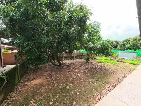  บ้านสวนแม่แตง ใกล้วัดบ้านเด่น & เขื่อนแม่งัดบ้านไม้สัก 2 ชั้น บรรยากาศดีทั้งปี เพียง 1.2 ล้าน “รวมโอน”  บ้านสวนฟีลธรรมชาติ อากาศเย็น เงียบสงบเหมาะพักผ่อน ทำบ้านตากอากาศ หรือ Airbnb  รายละเอียดบ้าน บ้านไม้ 2 ชั้น ชั้นบนไม้สักแท้ 2 ห้องนอน 1 ห้องน้ำ ที่ดิน 1 งาน บ้านหลังใหญ่ พื้นที่ใช้สอยคุ้ม  ทำเลดี ใกล้: วัดบ้านเด่น เขื่อนแม่งัด คาเฟ่ & จุดท่องเที่ยวธรรมชาติ  ราคาเพี�