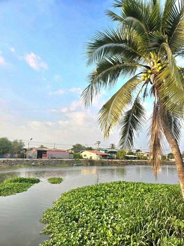 ลดราคาพิเศษ 12,000 บางเลน นครปฐม ติดคลองแม่น้ำท่าจีนบ้านริมคลองชั้นเดียว รีโนเวทใหม่บรรยากาศ อากาศดี๊ดี_ ลมเย็นสดชื่น__บรรยากาศฟีลกู๊ดสุดๆ•200ตารางวา•5ห้องนอนพร้อมห้องน้ำในตัว  •8ห้องน้ำ •1ห้องออฟฟิศ1ห้องครัว1โซนริมน้ำ นั่งเล่น•เฟอร์นิเจอร์ครบทุกห้อง•แอร์ครบทุกห้อง จำนวน7เครื่อง•หน้าบ้านติดถนน และติดคลองน้ำยาวจาก จ.กาญจนบุรี สู่แม่น้ำท่าจีน•200ตรว. •พื้นที่�