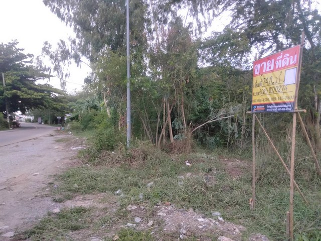 โอกาสทองที่ดินทำเลดี “โซนจักรวาล” ใจกลางเมืองประกาศขายที่ดิน พิกัดจักรวาลทำเลน่าอยู่ บรรยากาศชุมชน เดินทางเข้า-ออกสะดวกเหมาะสำหรับสร้างบ้านพักอาศัย ซื้อเก็บลงทุน หรือทำโฮมออฟฟิศขนาดเล็กรายละเอียดทรัพย์• เนื้อที่ 74.8 ตารางวา• หน้ากว้างประมาณ 16.88 เมตร• ลึกประมาณ 20 เมตร• ถนนหน้าทรัพย์: ถนนดิน• เอกสารสิทธิ์: โฉนด• ผังสี: สีเหลือง• สภาพที่ดิน: ยังไม่ถมราคาเพี