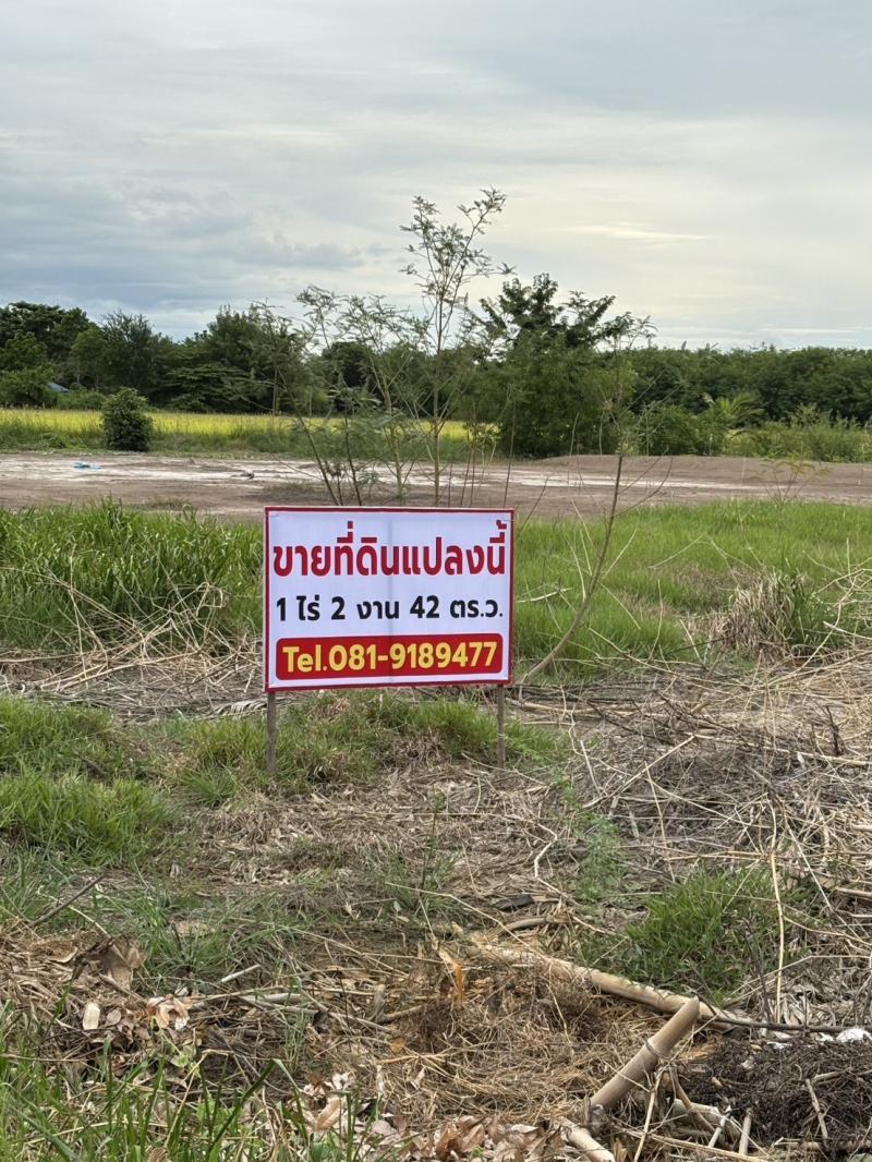 ขายที่ดินถมแล้ว เจ้าของขายเอง  ทำเลดีติดถนนซอย 2 ฝั่ง พระนครศรีอยุธยา  ที่ตั้ง : ต.พระยาบันลือ อ.ลาดบัวหลวง จ. พระนครศรีอยุธยา ขนาดเนื้อที่ : 1 ไร่ 2 งาน 42 ตารางวารายละเอียดเอกสารสิทธิโฉนดครุฑแดงที่ดินจัดสรร น้ำ ไฟ พร้อมทำเลดีติดถนนซอย 2 ฝั่งน้ำไม่ท่วมสถานที่ใกล้เคียงใกล้วัดเจดีย์หอย ใกล้อำเภอลาดบัวหลวงวัดราษฎร์บํารุงหนองปลาดุกวัดโพธิ์ประสิทธิ์ราคาขาย 1.8 ล้า