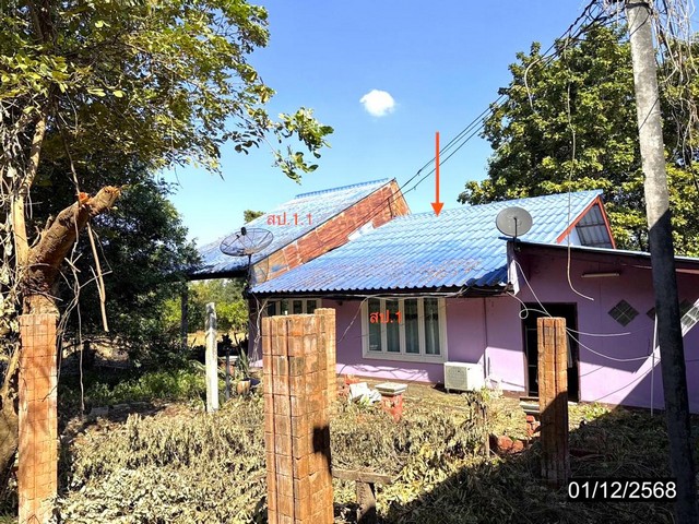   บ้านเดี่ยว กาฬสินธุ์ ถนน สายมหาสารคาม - กมลาไสย อำเภอ กมลาไสย  ถนน สายมหาสารคาม - กมลาไสย (ทล.2367) ตำบล กมลาไสย อำเภอ กมลาไสย จังหวัด กาฬสินธุ์  ราคาโปรโมชั่น 2,066,000 บาท    ลดจาก  2,625,000 บาท ราคาโปรโมชั่นตั้งแต่วันที่ 1 เมษายน 2569 – 30 มิถุนายน 2569  รายละเอียดทรัพย์ -  เนื้อที่ 472.00 ตร.ว.  พื้นที่ใช้สอย 199.25 ตร.ม. -  1 ห้องนอน 1 ห้องน้ำ  -  2 ที่จอดรถ  -  บ้านหันไปทางทิศตะวันตก  พิกัดทรัพย์ : https://maps.app.goo.gl/pkVy8io