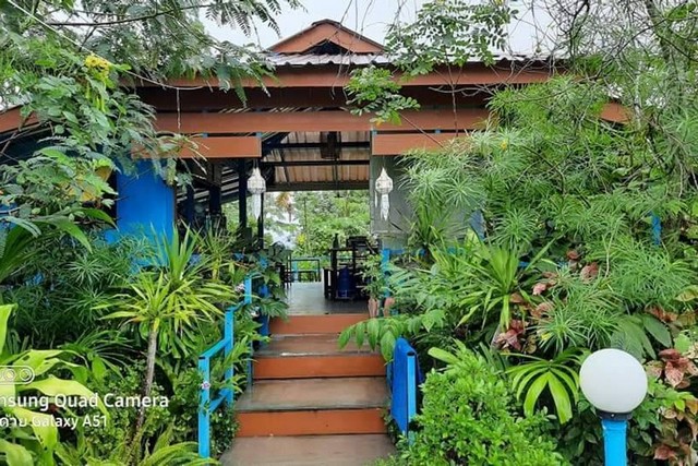 ขายเชิงพาณิชย์ 3 ห้องนอน ใน สันโป่ง, แม่ริมขายที่ดินพร้อมสิ่งปลูกสร้าง (ร้านอาหาร) เนื้อที่ 1 ไร่ 2 งาน 85 ตรว. ต.สันโป่ง อ.แม่ริม จ.เชียงใหม่ราคา 9 ล้านบาท (9,000,000 บาท)สำหรับคนที่รักธรรมชาติ รักต้นไม้ มีผลไม้หลากชนิด ร่มรื่นด้วยต้นไม้ดอกไม้บรรยากาศเห็นวิวเขาล้อมรอบด้วยทุ่งนา เหมาะทำร้านอาหาร ร้านกาแฟ รีสอร์ท บ้านพักตากอากาศ-ร้านค้าในสวน 1 หลัง ซุ้มลูกค้า​ 5​ ซุ้ม-บ้า�