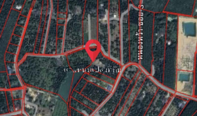 ขายที่ดิน พร้อมสวนทุเรียน มังคุด จังหวัดระยอง 5 ไร่ 1 งาน 31 ตร.ว. ใกล้เมืองระยอง ใกล้ทะเลเพียง 10 นาที 