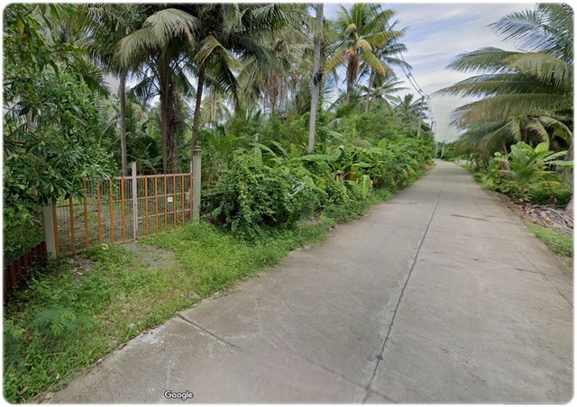 ขายบ้านสวนทรงไทยริมน้ำ ดำเนินสะดวก สามารถนั่งชมหิ่งห้อยได้ภายในสวน บรรยากาศเงียบสงบ กลางคืนอากาศเย็นสบายตลอดปี เหมาะแก่การพักผ่อนและทำเป็นรีสอร์ทที่ดินแปลงสวย 3 ไร่ 2 งาน 56.5 ตร.ว. พร้อมบ้านทรงไทย 2 หลังและโรงจอดรถ ตั้งอยู่ในทำเลดี ติดน้ำถึง 3 ด้าน บรรยากาศร่มรื่น เงียบสงบ อากาศดีตลอดปี เหมาะสำหรับผู้ที่กำลังมองหาสถานที่พักผ่อนใกล้กรุงเทพฯ หรือต้องการบ�