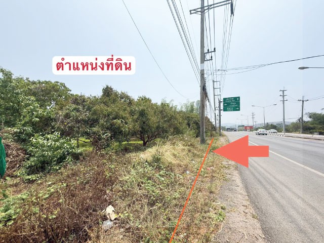 ที่ดินสวนลำไย ติดถนนใหญ่และแม่น้ำทา เดินทางสะดวก เนื้อที่ 3ไร่ 2 งาน 62.1 ตารางวา ตำบล ม่วงน้อย อำเภอป่าซาง จังหวัดลำพูนที่ดินสวนลำไยเหมาะสำหรับทำสวนลำไยต่อเจ้าของเดิมได้เลย หรือปลูกบ้านพักอาศัย บ้านตากอากาศ ใกล้สี่แยกไฟแดงป่าห้า ตัวที่ดินสวยงาม ทฝั่งติดแม่น้ำทาค่อนข้างเงียบสงบ อยู่ในแหล่งชุมชนไม่พลุกพล่าน นอกจากนี้ยังมีร้านอาหาร และร้านกาแฟท้องถิ่�