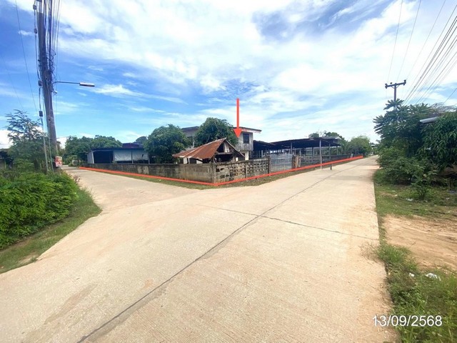   บ้านเดี่ยว กาฬสินธุ์ ถนน สายบ้านเหล่าอ้อย - บ้านด่านใต้ อำเภอ ร่องคำ จังหวัด กาฬสินธุ์  ถนน สายบ้านเหล่าอ้อย - บ้านด่านใต้ ตำบล เหล่าอ้อย อำเภอ ร่องคำ จังหวัด กาฬสินธุ์  ราคาโปรโมชั่น 3,188,000 บาท    ลดจาก 4,238,000 บาท ราคาโปรโมชั่นตั้งแต่วันที่ 1 เมษายน 2569 – 30 มิถุนายน 2569  รายละเอียดทรัพย์ -  เนื้อที่ 939.00 ตร.ว.  พื้นที่ใช้สอย 247.75 ตร.ม. -  2 ห้องนอน 1 ห้องน้ำ  -  1 ที่จอดรถ  -  บ้านหันไปทางทิศตะ�
