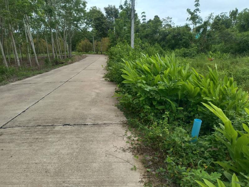Land for Sales in Chak Phong, Rayong, Price 500,000 THB