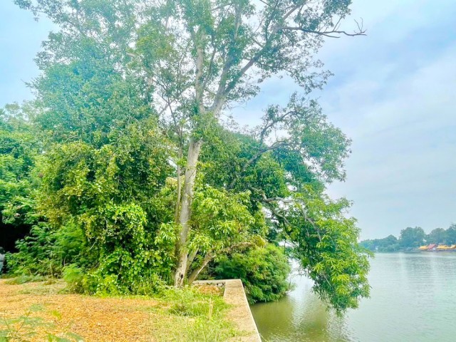 ที่ดินริมแม่น้ำแม่กลอง 2ไร่ 110 ตร.ว.3,640 ตร.ม. ใกล้วัดหลุมดิน 350 ม. 14,999 B-M. ทำเลสวยบรรยากาศดี ร่มรื่น ติดชุมชน อากาศปลอดโปร่ง เหมาะสำหรับพัฒนาเป็นร้านอาหารริมน้ำ โรงแรม รีสอร์ต คาเฟ่ หรือธุรกิจท่องเที่ยว ใกล้รพ.สต.หลุมดิน 400 ม. ตลาด สถานศึกษา และท่าน้ำแม่กลอง เดินทางสะดวก เชื่อมต่อเข้าสู่ตัวเมืองราชบุรีได้อย่างรวดเร็วRiverside land on the MaeKlong River 2rai 110sq.wa. 3,640sq.m. 350m. from WatLumDin. Rental price 14,999 THB/month. Beautiful riverside s