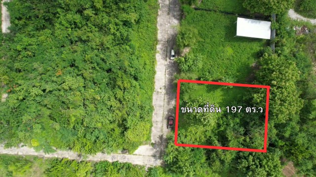 ขายที่ดินสันกำแพง เชียงใหม่ 197 ตารางวา ราคาเพียง 8,000 บาท/ตร.ว.  ที่ดินแปลงสวย ทำเลดี เหมาะสร้างบ้าน บ้านสวน หรือซื้อเก็บลงทุน ราคาขายเพียง 8,000 บาท/ตารางวา เนื้อที่ 197 ตารางวา ราคารวม 1,576,000 บาทจุดเด่นของที่ดิน ที่ดินแปลงสวย บรรยากาศเงียบสงบ เหมาะสำหรับสร้างบ้านพักอาศัย บ้านสวน หรือบ้านพักตากอากาศ เดินทางสะดวก เข้า-ออกได้ง่าย ไฟฟ้าและสาธารณูปโภคเข้าถึงพื้นที่ ชุม�