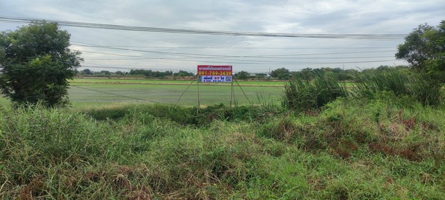 ดูโฮม บางบัวทอง 1.05กม. ติดถนนใหญ่บางบัวทอง านเดี่ยว 2 ชั้น 3 นอน 2 น้ำ ใกล้ รร.แสงประทีปรัฐบำรุง 900 ม. 9,998B-M.ติดถนนใหญ่ ทำเลศักยภาพบางบัวทอง เหมาะอยู่อาศัย เดินทางสะดวก เชื่อมต่อถนนกาญจนาภิเษก ทางหลวง 340 และรถไฟฟ้า ใกล้ตลาดสมบัติบุรี 1.9 กม. แหล่งชุมชน โรงพยาบาล และศูนย์การค้าขนาดใหญ่BangBuaThong road. DoHome BangBuaThong 1.05km. Two-story detached house 3 bedr 2 bath near Saengprateep Ratbamrung School 900 m. Rent 9,998B-M. Located on a main road in a prime Bang Bua Thong location ideal for residential living with conve