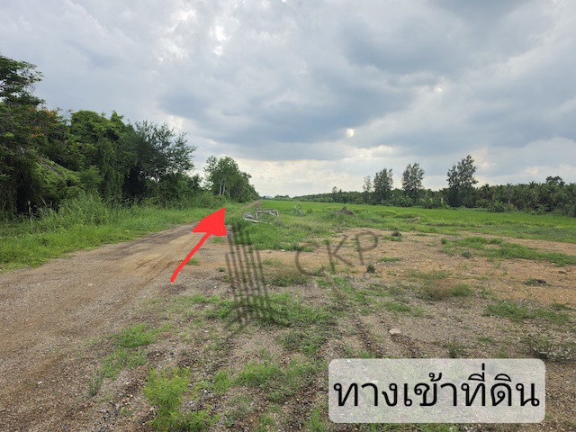ขายที่ดินเปล่า ขนาด 2 ไร่ 259 ตร.วา ทำเลโซนคลอง 9 เหมาะสำหรับทำการเกษตร ปลูกบ้านพักอาศัย ทำโกดัง หรือจัดสรรต่อยอดในอนาคตจุดเด่นของแปลงนี้คือพื้นที่ขนาดกำลังดี ใช้งานได้หลากหลาย เหมาะสำหรับคนที่กำลังมองหาที่ดินไว้สร้างบ้านพร้อมพื้นที่สวน ทำฟาร์มขนาดเล็ก หรือพัฒนาเป็นพื้นที่เก็บของ/โกดังในโซนรังสิต-นครนายกการเดินทางสะดวก ใกล้ถนนเลียบคลอง 9 ตะวันตก เพีย