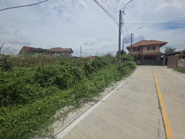ให้เช่าที่ดินเปล่า ขนาด 276 ตร.วา ติดถนนคอนกรีต ทำเลบางใหญ่ ใกล้ถนนใหญ่และห้างสรรพสินค้า เหมาะสำหรับทำที่พักอาศัย โกดัง หรือพื้นที่ใช้งานเชิงพาณิชย์จุดเด่นของแปลงนี้คือพื้นที่ขนาดใหญ่ ใช้งานได้หลากหลาย เหมาะสำหรับผู้ที่ต้องการพื้นที่โล่งสำหรับสร้างบ้านพัก พื้นที่เก็บสินค้า โกดังขนาดเล็ก หรือปรับใช้เป็นพื้นที่ธุรกิจที่ต้องการเดินทางสะดวกการเดิน�
