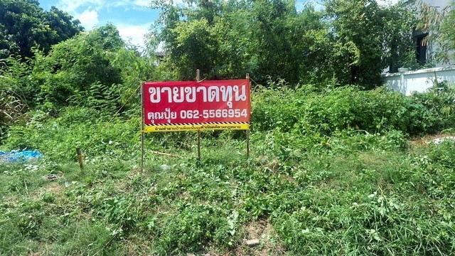 ที่ดินบางพลี ที่เปล่าสมุทรปราการที่ดินเปล่าจตุรโชคชัย3/6 ขายที่ปลูกบ้านสมุทรปราการซอยจตุรโชคชัย 3/6 ต.บางโฉลงอ.บางพลี จ.สมุทรปราการรายละเอียด- เนื้อที่ 47 ตารางวา- ที่เปล่าถมแล้วสถานที่ใกล้เคียง- สนามบินสุวรรณภูมิ - ถนนบางนาตราด- รพ.จุฬารัตน์- ใกล้มาร์เก็ตวิลเลจ- ใกล้เมกะบางนาขาย 1,800,000 ล้านสอบถามเพิ่มเติม นัดชมติดต่อ Tel : 062 - 5566954 (ปุ้ย) | Line ID : 0616649897_____________________________________#ขายที่ดินส