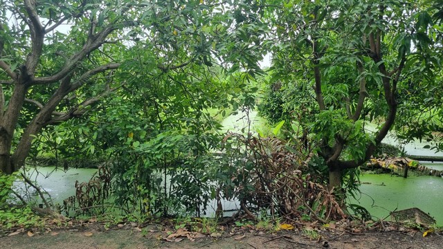 ที่ดินทรงสวย 500 ตร.ว. หนองเพรางาย-วัดลาดปลาดุก นนทบุรีหน้ากว้างติดถนน ล้อมรอบด้วยสิ่งอำนวยความสะดวก เหมาะทั้งสร้างบ้าน สวนเกษตร หรือซื้อเก็บเก็งกำไร!???? รายละเอียดแปลงที่ดินทำเล: ต.หนองเพรางาย อ.ไทรน้อย จ.นนทบุรี (เข้าออกง่าย ทะลุวัดลาดปลาดุกได้)เนื้อที่: 1 ไร่ 1 งาน (500 ตารางวา)รูปแปลง: สี่เหลี่ยมสวยฮวงจุ้ยดี หน้ากว้าง 43 เมตร x ลึก 46 เมตร (จัดวางสิ่งปลูกสร้างง่ายมาก