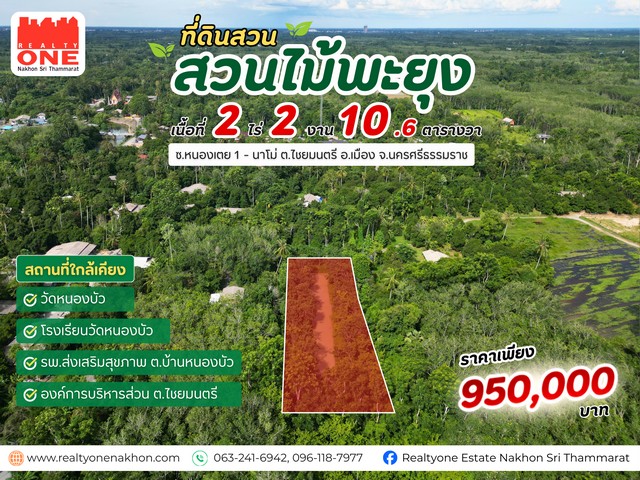 สวนไม้พะยูง เนื้อที่ 2-2-10.61 ไร่ ต.ไชยมนตรี โอกาสดีสำหรับคนที่กำลังมองหาที่ดินสวน พร้อมต้นไม้มีค่า มีบ่อน้ำภายในแปลงบรรยากาศเงียบสงบ เหมาะสำหรับทำสวนช.หนองเตย 1 - นาโม่ ต.ไชยมนตรี อ.เมือง จ.นครศรีธรรมราช ราคาเพียง 950,000 บาท  เนื้อที่ 2 ไร่ 2 งาน 10.61 ตารางวาปลูกไม้พะยูงภายในแปลง ต้นไม้มีค่า พร้อมต่อยอดในอนาคตมีบ่อน้ำภายในแปลง พร้อมใช้งาน เหมาะสำหรับทำสวนบรรยากาศร่ม�