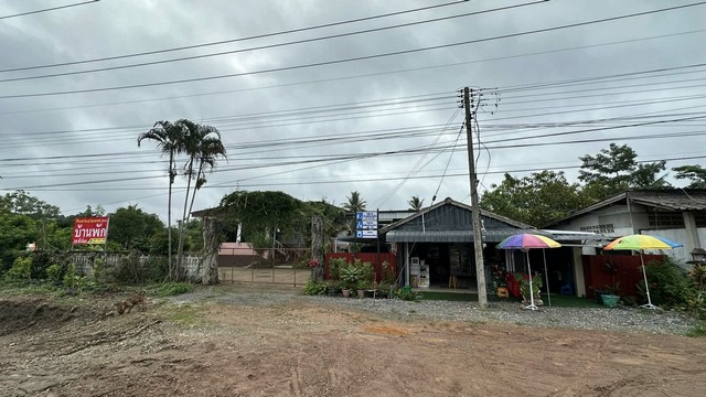 ขายที่ดินพร้อมบ้านและโฮมสเตย์ชีวินฟาร์ม&โฮมสเตย์  ติดถนนสายเชียงราย-เชียงใหม่ อำเภอแม่สรวย จังหวัดเชียงราย เนื้อที่ 2 ไร่ 2 งาน#รายละเอียดและที่ตั้งทรัพย์-ที่ดินพร้อมบ้าน และโฮมสเตย์ชีวินฟาร์ม&โฮมสเตย์ เนื้อที่ 2 ไร่ 2 งาน-ตั้งอยู่ติดถนนหมายเลข 118 สายเชียงราย-เชียงใหม่ หมู่บ้านแม่สรวยหลวง อำเภอแม่สรวย จังหวัดเชียงราย-มีบ้านชั้นครึ่งขนาด 3 ห้องนอน 3 ห้องน้