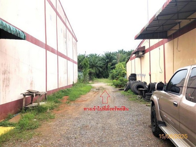 ขายที่ดินสุราษฎร์ธานี ถนนสายสุราษฎร์ธานี - หลังสวน อำเภอท่าชนะ  ถนน สายสุราษฎร์ธานี - หลังสวน  ตำบลคลองพา อำเภอท่าชนะ จังหวัดสุราษฎร์ธานี  ราคาโปรโมชั่น  22,434,000   บาท    ลดจาก 29,176,000  บาท ราคาโปรโมชั่นตั้งแต่วันที่ 1 กรกฎาคม 2569 – 30 กันยายน 2569  รายละเอียดทรัพย์ -  เนื้อที่ 9-1-48.00 ไร่  พิกัดทรัพย์ : https://maps.app.goo.gl/S1dCLGoFiCvQMboZ9  สถานที่ใกล้เคียง   - ตลาดท่าชนะ - สถานีรถไฟท่าชนะ - โรงพยาบาลท่าชนะ - โรง�
