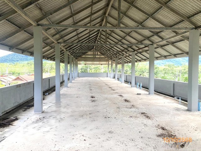 ขายอาคารพักอาศัย 3 ชั้น สุราษฎร์ธานี   ราคาโปรโมชั่น  ถนน สายบ้านใน - ดอนสัก  ตำบล ปากแพรก อำเภอ ดอนสัก จังหวัด สุราษฎร์ธานี  ราคาโปรโมชั่น  4,828,000   บาท    ลดจาก  6,266,000 บาท ราคาโปรโมชั่นตั้งแต่วันที่ 1 กรกฎาคม 2569 – 30 กันยายน 2569  รายละเอียดทรัพย์ -  เนื้อที่ 94.00 ตร.ว.  พื้นที่ใช้สอย 879.75 ตร.ม. -  14 ห้องนอน 14 ห้องน้ำ     พิกัดทรัพย์ : https://maps.app.goo.gl/hHSvLrSiEQijwSiU6  สถานที่ใกล้เคียง   - โรงพยาบาลพนม - โรงเรียนพนมศ�