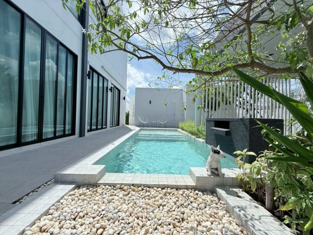 https://youtu.be/xsJZkD6yRvAราคาพิเศษ 7.49 ล้าน #โซนหางดง Modern Pool Villa 2 ชั้น หลังสุดท้าย! #บิวท์อินทั้งหลัง จัดเต็มเฟอร์นิเจอร์และเครื่องใช้ไฟฟ้า เข้าอยู่ได้ทันที ไม่ต้องแต่งเพิ่ม – ใกล้เมือง #น้ำไม่ท่วมที่ดิน 64.1 ตารางวาพื้นที่ใช้สอย 220 ตารางเมตร4 ห้องนอน 4 ห้องน้ำห้องนั่งเล่นห้องครัวสระว่ายน้ำระบบเกลือ แบบ Overflowจอดรถได้ 2–3 คันจุดเด่นที่ทำให้บ้านหลังนี้ “คุ้มและต่าง”บิวท์อินทั้งหลัง ด