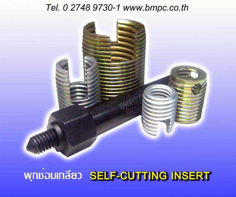 &nbsp;Self-cutting threaded insert slotted type   Brand : Ameca,&nbsp;&nbsp;&nbsp;&nbsp; France  Material : Steel  Surface treatment :&nbsp; Zn 8m  &nbsp;  Article no.&nbsp; &nbsp; &nbsp;d1 x L&nbsp;   &nbsp;   701302025&nbsp;&nbsp;&nbsp; M2.5x6  701302030&nbsp;&nbsp;&nbsp; M3x6  701302040&nbsp;&nbsp;&nbsp; M4X8   701302050&nbsp;&nbsp;&nbsp; M5X10   701302061&nbsp;&nbsp;&nbsp; M6x12 (OD M9x1.00)  701302060&nbsp;&nbsp;&nbsp; M6X14   701302080&nbsp;&nbsp;&nbsp; M8X15   701302100&nbsp;&nbsp;&nbsp; M10X18   701302120&nbsp;&nbsp;&nbsp; M12X22   701302125&nbsp;&nbsp;&nbsp; M12X1.50X22  701302140&nbsp;&nbsp;&nbsp; M14X24   701302145&nbsp;&nbsp;&nbsp; M14x1.50x24  701302160&nbsp;&nbsp;&nbsp; M16X22  701302180&nbsp;&nbsp;&nbsp; M18X24   701302200&nbsp;&nbsp;&nbsp; M20X27   701302240&nbsp;&nbsp;&nbsp; M24X30   701302270&nbsp;&nbsp;&nbsp; M27X30   701302300&nbsp;&nbsp;&nbsp; M30X40  701302611&nbsp;&nbsp;&nbsp; UNC4-40X6  701302613&nbsp;&nbsp