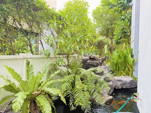 ให้เช่าบ้านเดี่ยวโครงการ The City Ramintra บ้านตกแต่งพร้อมอยู่ เฟอร์นิเจอร์และเครื่องใช้ไฟฟ้าครบ เหมาะสำหรับครอบครัวที่ต้องการบ้านในทำเลรามอินทรา ใกล้ Fashion Island และรถไฟฟ้าสายสีชมพูรายละเอียดบ้าน- ที่ดิน 60 ตารางวา- พื้นที่ใช้สอย 200 ตารางเมตร- บ้านเดี่ยว 2 ชั้น- 4 ห้องนอน- 3 ห้องน้ำ- 1 ห้องอเนกประสงค์- 1 ห้องรับแขกและทานข้าว- จอดรถได้ 2 คัน- เฟอร์นิเจอร์และเครื่องใช้ไฟฟ้าครบสิ่ง