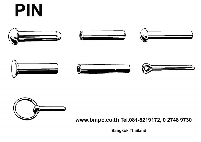 Parallel pin, pin with thread, สลักแบบมีเกลียวใน, Paralles with female thread