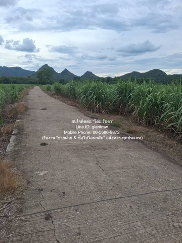 รหัสทรัพย์: DSL-1351Line ID: 0655869872 หรือ giantmw หรือ @yem0202nFacebook: https://bit.ly/3vdegO8Fanpage: https://bit.ly/488TrlDสนใจสั่งซื้อหนังสือ ALCPT ติดต่อตาม Contact ด้านบน: https://www.youtube.com/watch?v=rNYxsRQsEQghttps://www.youtube.com/watch?v=mfhKv9VnSp4&t=164s.ขายที่ดินไร่อ้อย (น.ส.3 ก.) 19-2-21 ไร่ ต.ห้วยยาง อ.คอนสาร จ.ชัยภูมิ ราคา 9.78 ล้านบาท .รายละเอียดทรัพย์: ที่ดินไร่อ้อย (น.ส.3 ก.) เนื้อที่ 19-2-21 ไร่ (7,821 ตร.ว.) ต.ห้วยยาง อ.คอนสาร จ.ชัยภูมิ จุดเด่นของทรัพย์: เป็นที่ดินที่มีเอกสารสิทธิ์เป็น น.ส.3 ก. (สาม�