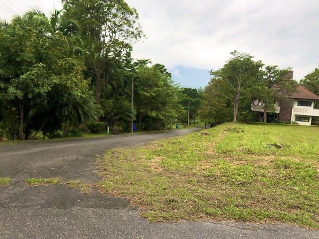 ขายที่ดิน 470 ตรว. ถนนมิตรภาพ มวกเหล็ก สระบุรี แปลงมุม ติดถนน 2 ด้านและทางสาธารณะในสนามกอล์ฟเซอร์เจมส์คันทรีคลับ Forest Hill เจ้าของรับสิทธิ์สมาชิกสนามกอล์ฟฟรีตลอดชีพราคาขาย 13,630,000 บาท ( ราคา 29,000 บาท / ตารางวา )ที่ตั้ง ถนนมิตรภาพ สนามกอล์ฟเซอร์เจมส์คันทรีคลับ (Forest Hill) ตำบลมิตรภาพ อำเภอมวกเหล็ก สระบุรีเนื้อที่ 1-0-70 ไร่ หน้ากว้างประมาณ 37 เมตร ความลึกประมาณ 44.30 เมตรทำเลดีมาก หลังต�