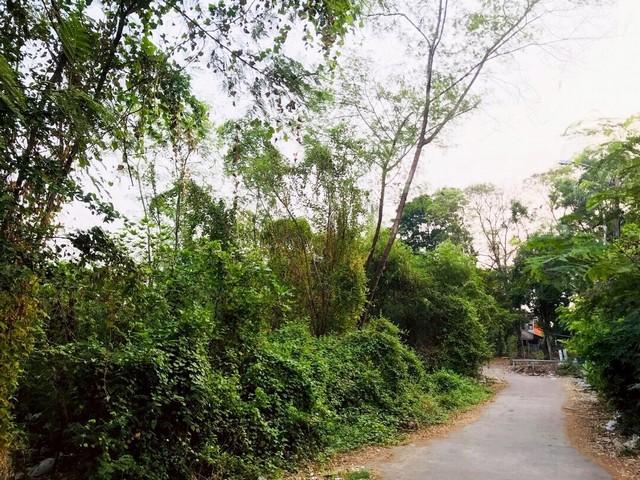 ขายที่ดิน ติดริมน้ำ ซอยนวมินทร์ 24 (ซอยอุเทน 8) ใกล้สวนนวมินทร์ภิรมย์ราคาขาย 6,890,000 บาท ( จาก 10,000,000 บาท )ที่ตั้ง ถนนนวมินทร์ ซอยนวมินทร์ 24 (ซอยอุเทน 8) แขวงคลองกุ่ม เขตบึงกุ่ม กรุงเทพมหานครติดต่อ : คุณภัสพงณ์ 0634098164Line : deedee23https://www.facebook.com/profile.php?id=61581484955548เนื้อที่ 208 ตารางวา หน้ากว้างประมาณ 27 เมตรที่ดินติดริมน้ำ ตั้งอยู่บริเวณถนนนวมินทร์ 24 ซอย 8 แยก 2จุดเด่นที่ดินติดริมน้ำ บรรยากาศดี เหมาะสำ