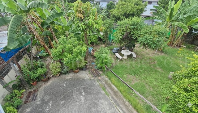 รหัสทรัพย์ : 6290ที่ดินเปล่า 2 แปลง พื้นที่รวม 59.5 ตร.วา พื้นที่สีแดงที่ตั้ง&nbsp;: ซอยสุขุมวิท 97/1 ถนนสุขุมวิท แขวงบางจาก เขตพระโขนง&nbsp;กรุงเทพมหานคร 10260รายละเอียดทรัพย์&nbsp;- ที่ดินเปล่า 2 แปลง ถมแล้ว เนื้อที่รวม 59.5 ตารางวา ที่ดินสีแดง (ที่ดินประเภทพาณิชยกรรม)- ที่ดินสวยอยู่ข้างในสุดซอยเหมาะกับคนที่ต้องการความเป็นส่วนตัว- ที่ดินหันหน้าทิศตะวันออกเฉียงเหนือทำเลและสถานที�