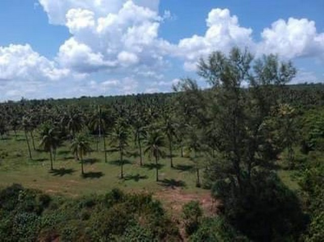 ขายที่ดิน Seaview ติดทะเล บนผาฝั่งแดง 3.5 ลบ. ต่อไร่  และที่ดินใกล้ทะเล ห่างไม่มาก ราคาดีดี มีให้เลือกหลายแปลงสวยๆเนื้อที่ตามที่ต้องการ ตั้งแต่ 100 วา ขึ้นไป โฉนดพร้อมโอน ค่าใช้จ่ายวันโอนคนละครึ่ง+++ ไฟฟ้า ประปา เข้าถึง+++ มีทางสาธารณะเข้าถึงที่ดิน การเดินทางสะดวก+++ ห่างจากถนนทางหลวง 300 เมตรที่ตั้ง: หาดฝั่งแดง ต.ทราทอง อ.บางสะพานน้อยจ.ประจวบคีรีขันธ์รายละเอียดที่ดิน:ท�