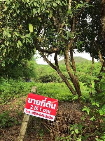 ขายที่ดิน 2 ไร่ 3 งาน ( ตารางวาละ 1500 )บ้าน ดอนเจริญ ตำบลดอยลาน เมืองเชียงราย #ที่ตั้ง - บ้าน ดอนเจริญ - ตำบล ดอยลาน - อำเภอ เมืองเชียงราย- จังหวัด เชียงราย#รายละเอียดเพิ่มเติม- เข้าจากสามแยก จำบอนมาประมาณ 5 กิโลเมตร ดอนเจริญ ซอย 1 - เข้าซอยประมาณ 300 เมตร ในชุมชน เดินทางสะดวก สาธารณูปโภคเข้าถึง เจ้าของขายเอง- ขนาดที่ดิน 2 ไร่ 3 งาน 26.8 ตารางวา#ราคาขาย ตารางวาละ 1500 บาท #สนใจติดต่อโ�