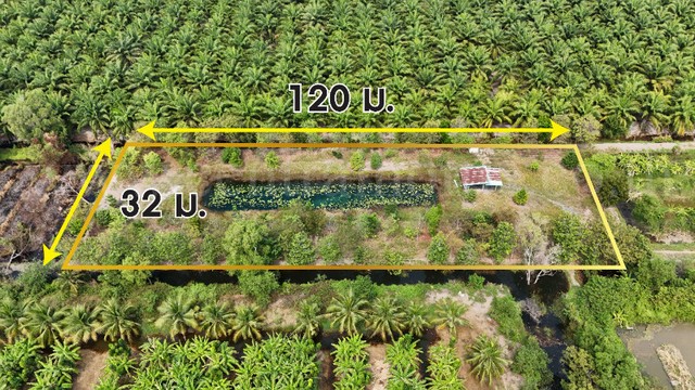 รหัสทรัพย์ : N5034ที่ดินเปล่า 2-1-60 ไร่ คลอง 12 หนองเสือ ปทุมธานีที่ตั้ง :&nbsp;ถนนเลียบคลอง 12 ตำบลนพรัตน์ อำเภอหนองเสือ&nbsp;จังหวัดปทุมธานี 12170รายละเอียดทรัพย์&nbsp;- ที่ดินเปล่า 2-1-60 ไร่ (ผังสีชมพู),&nbsp;หน้าที่ดิน กว้าง 120 ลึก 32 เมตร&nbsp;- แปลงที่ดินขนาดกลาง เหมาะสำหรับสร้างบ้าน การเกษตร และลงทุน- หน้าที่ดินกว้างติดถนนส่วนบุคคล&nbsp;หันทางทิศตะวันออก-&nbsp;ตั้งอยู่บนถนนเลียบคลอง 12 ฝั่งตะวัน�