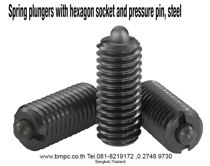 K0317 Spring plungers with hexagon socket and thrust pin, steel  Material:   Sleeve steel grade 5.8.   Thrust pin steel. Spring steel wire grade D.   Version:  &nbsp;Black oxidised. Thrust pin hardened.  &nbsp;  Oeder no.&nbsp;&nbsp;&nbsp;&nbsp;&nbsp;&nbsp;&nbsp;&nbsp;&nbsp;&nbsp;&nbsp; D&nbsp;&nbsp;&nbsp;&nbsp;&nbsp;&nbsp;&nbsp;&nbsp;&nbsp;&nbsp;&nbsp; L  K0317.03&nbsp;&nbsp;&nbsp;&nbsp;&nbsp;&nbsp;&nbsp;&nbsp;&nbsp;&nbsp;&nbsp;&nbsp;  M3 &nbsp;&nbsp;&nbsp;&nbsp;&nbsp;&nbsp; &nbsp;10   &nbsp;K0317.04 &nbsp;&nbsp;&nbsp;&nbsp;&nbsp;&nbsp;&nbsp;&nbsp;&nbsp;&nbsp; M4 &nbsp;&nbsp;&nbsp;&nbsp;&nbsp;&nbsp;&nbsp; &nbsp;15   &nbsp;K0317.05 &nbsp;&nbsp;&nbsp;&nbsp;&nbsp;&nbsp;&nbsp;&nbsp;&nbsp;&nbsp; M5&nbsp; &nbsp;&nbsp;&nbsp;&nbsp;&nbsp;&nbsp; 18   &nbsp;K0317.06 &nbsp;&nbsp;&nbsp;&nbsp;&nbsp;&nbsp;&nbsp;&nbsp;&nbsp;&nbsp; M6 &nbsp;&nbsp;&nbsp;&nbsp;&nbsp;&nbsp;&nbsp; &nbsp;20   &nbsp;K0317.08 &nbsp;&nbsp;&nbsp;&nbsp;&nbsp;&nbsp;&nbsp;&nbsp;&nbsp;&nbsp; M8 &nbsp;&n
