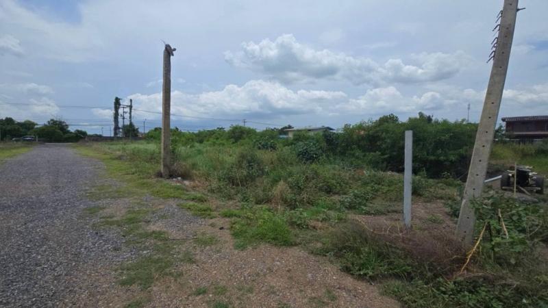 ขายที่ดินทำเลดี ตำบลคลองสาม อำเภอคลองหลวง จังหวัดปทุมธานี จำนวน 2 แปลงติดกัน หน้าที่ดินติดถนนเลียบคลองสาม เดินทางสะดวก ใกล้ชุมชน ร้านค้า และตลาดพี่ญาคนรุม ซึ่งตั้งอยู่บริเวณซอยคลองสาม 13/3 ที่ดินสามารถซื้อแยกเป็นรายแปลง หรือซื้อรวมทั้ง 2 แปลงได้ เหมาะสำหรับสร้างบ้านพักอาศัย โครงการบ้านจัดสรร โกดัง สำนักงาน สถานประกอบการ หรือซื้อเก็บไว้ลงทุนรองรับการเ�