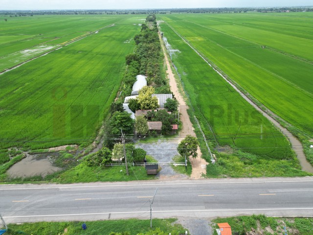 ขาย ที่ดินจัดสรร ลำลูกกา คลอง16 องครักษ์ที่ตั้ง :  อำเภอบางน้ำเปรี้ยว ฉะเชิงเทรา 24170รายละเอียดทรัพย์ ที่ดินจัดสรร เนื้อที่ 100 ตร.ว. - 1 ไร่ ถนนเป็นสาธารณะตลอดแนว ติดถนนหลวงรายละเอียดการแบ่งแปลงที่ดิน- แปลงที่ 1 | 1 ไร่ 1 งาน 25 ตร.ว.  ที่ดิน พร้อมสิ่งปลูกสร้าง ราคา 5 ล้านบาท- แปลงที่ 2 | 1 ไร่ ที่ดินถม ราคา 2.4 ล้านบาท- แปลงที่ 3 | 1 ไร่ ที่ดินถม ราคา 2 ล้านบาท- แปลงที่ 4 | 1 ไร่ ที่ดินถม ราคา 