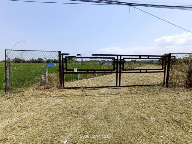 ขาย บ้านเดี่ยว/ทาวน์เฮ้าส์/คอนโด โกดัง สระบุรีถนน สายโคกสว่าง - บ้านหนองครก(สบ.3021) ตำบล หนองยาว อำเภอ เมืองสระบุรี จังหวัด สระบุรี  ราคา    8,505,000   บาท  (ราคาต่อรองได้)  รายละเอียดทรัพย์ -  เนื้อที่ 2-1-83.70 ไร่  พิกัดทรัพย์ : https://maps.app.goo.gl/7LAa5rw8yJXdnybk8  สถานที่ใกล้เคียง   -โรงพยาบาลวิหารแดง -โรงพยาบาลราชธานี หนองแค -วัดพระพุทธแสงธรรม-ธรรมยุต  รหัสทรัพย์ (Code ID)  : PKK-26-12-01302   สอบถามเพิ่มเติม / นัดชม โทร. 0