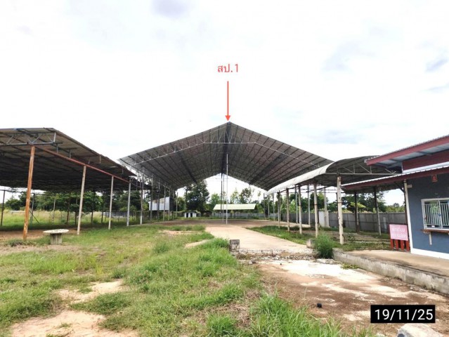 ขาย บ้านเดี่ยว/ทาวน์เฮ้าส์/คอนโด โกดัง กาฬสินธุ์  ถนน สายบ้านโคกประสิทธิ์-บ้านเหล่าแดง(กส.4023) ตำบล โคกสะอาด อำเภอ ฆ้องชัย จังหวัด กาฬสินธุ์  ราคา    11,431,000   บาท  (ราคาต่อรองได้)  รายละเอียดทรัพย์ -  เนื้อที่ 7-2-30.00 ไร่  พิกัดทรัพย์ : https://maps.app.goo.gl/oLHdjsrMq5jp9irm8  สถานที่ใกล้เคียง   -โรงพยาบาลฆ้องชัย -โรงเรียนบ้านใส้จ่อ -วัดโพธิ์ศรีบ้านน้อย -ที่ทำการกองทุนหมู่บ้านบ้านโคกประสิทธิ์  รหัสทรัพ�