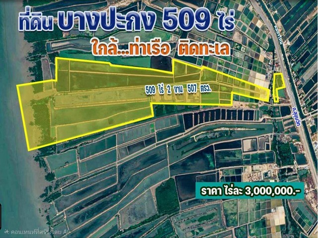 สนใจ สนใจติดต่อเบอร์/ Line ปุ๋ย 080-8796-822ขายด่วน ที่ดินแปลงใหญ่ บางปะกง แปลงใหญ่ 508 ไร่ ติดทะเล.ติด ถ.สุขุมวิท  สถานที่ตั้ง ถ.สุขุมวิท ต.บางปะกง อ.บางปะกง จ.ฉะเชิงเทรารายละเอียดข้อมูลที่ดินขนาดที่ดิน 508 ไร่ 3 งาน 50 ตารางวารูปขนาดที่ดิน หน้ากว้าง 116 เมตร ลึก 2415 เมตรราคา ขายไร่ละ 3 ล้านบาท - ตรว.ละ 7,500 บาท- ไร่ละ 3,000,000.-บาท- รวมเป็นเงิน 1,526,625,000 บาท- ด้านหน้าติด ถ.สุขุมวิท (เลยบางปูไปไม่ไกล) - ด