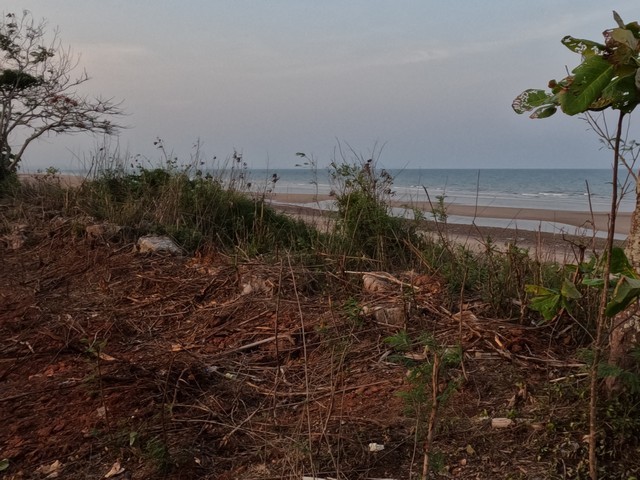 ขายที่ดิน Seaview ติดทะเล บนผาฝั่งแดง 3.5 ลบ. ต่อไร่  และที่ดินใกล้ทะเล ห่างไม่มาก ราคาดีดี มีให้เลือกหลายแปลงสวยๆเนื้อที่ตามที่ต้องการ ตั้งแต่ 100 วา ขึ้นไป โฉนดพร้อมโอน ค่าใช้จ่ายวันโอนคนละครึ่ง+++ ไฟฟ้า ประปา เข้าถึง+++ มีทางสาธารณะเข้าถึงที่ดิน การเดินทางสะดวก+++ ห่างจากถนนทางหลวง 300 เมตรที่ตั้ง: หาดฝั่งแดง ต.ทราทอง อ.บางสะพานน้อยจ.ประจวบคีรีขันธ์รายละเอียดที่ดิน:ท�