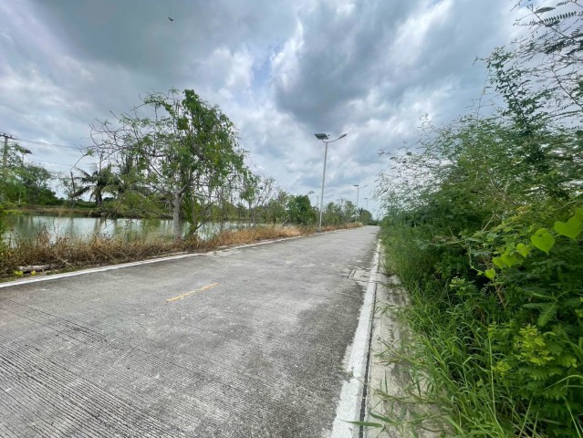 AOM 3088ขายที่ดินถมแล้วพร้อมสร้าง 409 ตร.ว. ทำเลดี บางนา-ตราด ใกล้สุวรรณภูมิราคา 3,957,075 บาทโอกาสทองสำหรับผู้ที่กำลังมองหาที่ดินสร้างบ้านพักอาศัยหรือทำโครงการส่วนตัว ในบรรยากาศเป็นธรรมชาติ ร่มรื่น และเดินทางสะดวกสบายเนื้อที่: 409 ตารางวา (ถมแล้วเต็มพื้นที่ พร้อมลงเสาเข็ม)ผังเมือง: สีเขียว (เหมาะสำหรับสร้างบ้านพักอาศัย, บ้านสวน, หรือสำนักงาน)การเดินทาง: เชื่อมต่อถนน�