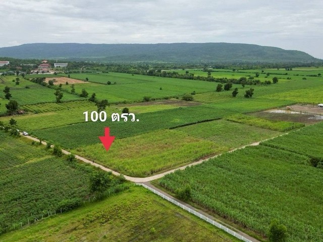 ถูกสุด ที่วิวเขา ติดถนนคอนกรีต1แสนบาท 100ตรว. วังเพลิน โคกสำโรง ลพบุรี T .086-301-6161ที่ดิน ต.วังเพลิน อ.โคกสำโรง จ.ลพบุรีสวยมากค่ะ ที่ดินวิวเขา ติดคอนกรีต ดินถมเสมอถนน ฟรีค่าโอน สอบถามนัดเยี่ยมชม ติดต่อ วรุณรัตน์ 086-301-6161    To86-3ol-6l6l*เนื้อที่ 100 ตรว. ราคา 120,000 บาท   กว้าง 17.01   ลึก 30.79 เมตร*เนื้อที่ 100 ตรว. ราคา 100,000 บาท   กว้าง 14.68 ลึก 29.08 เมตรติดถนนคอนกรีต 6 เมตรห่างถนนหลัก 900 เมตรดินถมเสมอถนนห่าง น�