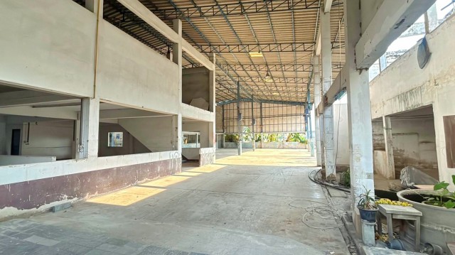 รายล้อมด้วยตลาด ศูนย์การค้า และแหล่งงาน โกดังพื้นที่สีเขียว Letana Hotel 1.86กม. 1225ตรม. 64,998-89,999 B-M เทพารักษ์  บางพลี-ตำหรุ ธนสิทธิ์   300 ตร.ว. สนามฟุตบอล Siam Inter FC ใกล้รร.ประภามนตรี 3 300 ม.และรพ.เปาโล 1.2 กม. เหมาะสำหรับทำโกดังเก็บสินค้า ทำเลดีบนถนนเทพารักษ์ เชื่อมต่อบางนา ตราด และเส้นทางหลักได้สะดวก ย่านชุมชน และแหล่งธุรกิจ เหมาะสำหรับผู้ประกอบการที่ต้องการโกดังในทำเลบางพลี ขาย 15,999,999 �