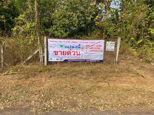 ราคาขาย 6,500,000บาท (คิดเป็น 431 บาทต่อตารางวา) Selling price 6,500,000 baht (calculated as 431 baht per square wah).ขายที่ดินสวนยางพารา 37-2-80 ไร่ (รวม 5 แปลง) หน้ากว้าง 105 เมตร | ลึก 420 เมตร ทำเลดี ติดถนนลาดยาง  การเดินทางสะดวก อยู่ในแหล่งชุมชน -ต้นยางอายุ 7 ปี จำนวนประมาณ 60 ต้น -ต้นยางอายุ 3 ปี จำนวนประมาณ 1,500 ต้น -สภาพแวดล้อมดี เหมาะสำหรับทำการเกษตร หรือพัฒนาเป็นที่อยู่อาศัยFor sale: 37-2-80 rai rubber plantation land (total of 5 plots), width 105 meters | depth 420 meters, good location, on paved road, co