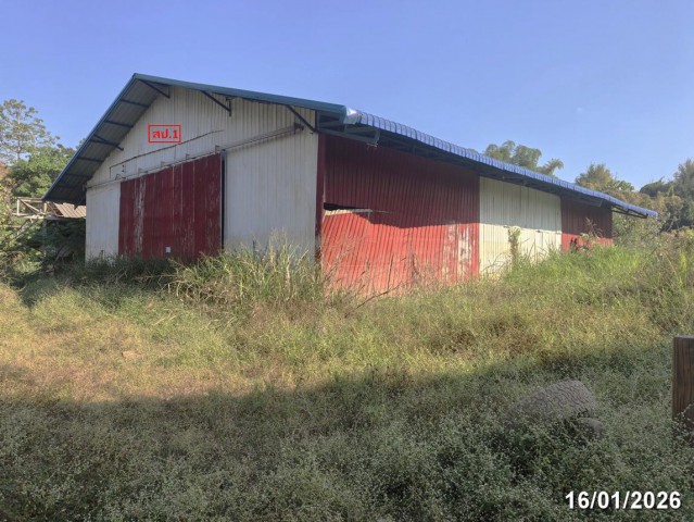 ขาย บ้านเดี่ยว/ทาวน์เฮ้าส์/คอนโด โกดัง เชียงใหม่ ถนน สายเลี่ยงเมืองสันป่าตอง - หางดง (ชม.3035) ตำบล บ้านแม อำเภอ สันป่าตอง จังหวัด เชียงใหม่  ราคาโปรโมชั่น   8,823,000บ   บาท    ลดจาก  10,720,000    บาท ราคาโปรโมชั่นตั้งแต่วันที่ 1 กรกฎาคม 2569 – 30 กันยายน 2569  รายละเอียดทรัพย์ -  เนื้อที่ 2-2-25.60 ไร่  พื้นที่ใช้สอย 648 ตารางเมตร -  บ้านหันไปทางทิศ ตะวันตก  พิกัดทรัพย์ :https://maps.app.goo.gl/koFCSBUMiKKn31xXA   สถานที่ใกล้เคียง   