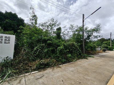 ตัดใจขาย ที่ดินแปลงสวย 112 ตร.ว. ทางเกวียน แกลง ระยอง ผังเหลือง เหมาะสร้างบ้านครอบครัวใหญ่ พร้อมพื้นที่จัดสวน มีแบบบ้านให้.TPI-3428.ที่ตั้ง ต.ทางเกวียน อ.แกลง จ.ระยองhttps://maps.app.goo.gl/NwrHMiab1h5RpPzNA.ตัดใจขาย ที่ดินแปลงสวยใน อ.แกลง จ.ระยอง.ขายที่ดินเปล่า 2 แปลงติดกัน เนื้อที่รวม 112 ตารางวา ต.ทางเกวียน อ.แกลง จ.ระยอง รูปแปลงสวย ขนาดประมาณ หน้ากว้าง 20.4 เมตร × ลึก 24.8 เมตร.เหมาะสำหรับสร้างบ้านเดี�